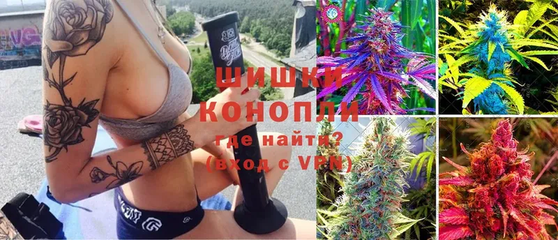 где найти   kraken ССЫЛКА  Марихуана VHQ  Невельск 